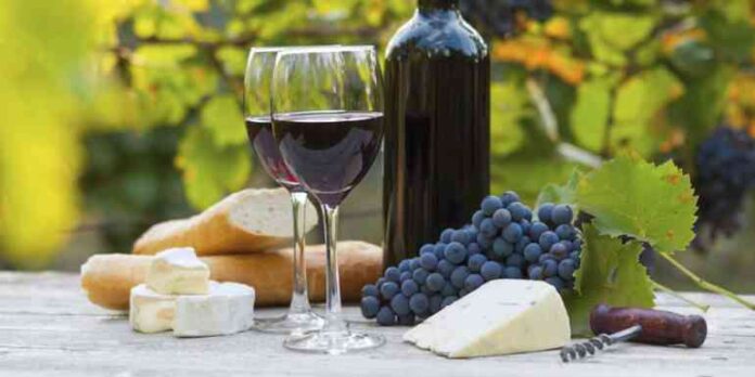 5 vinos mexicanos que te sorprenderán por su sabor 1