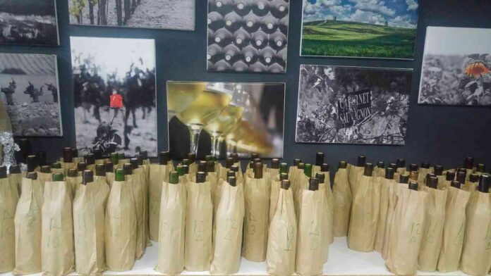 Comienza la vendimia y estos son los vinos que no puedes pasar por alto 1