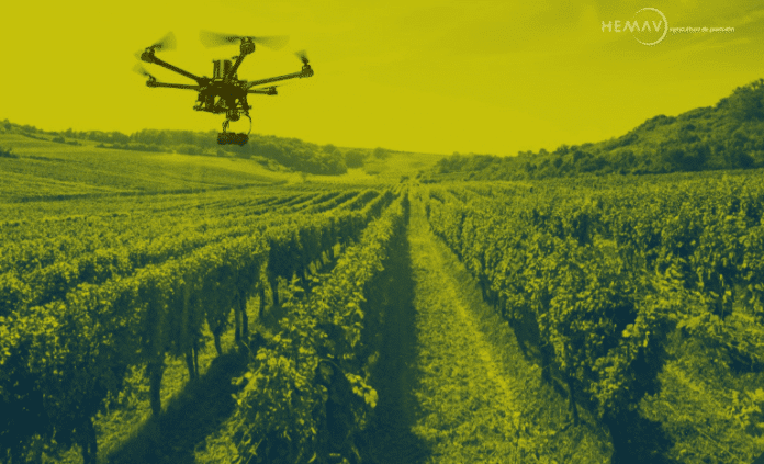 El uso de drones ayuda a mejorar la producción de los viñedos 1