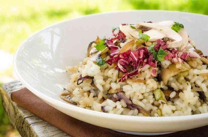 El 1 de noviembre, se celebra el Día Mundial del Veganismo 1