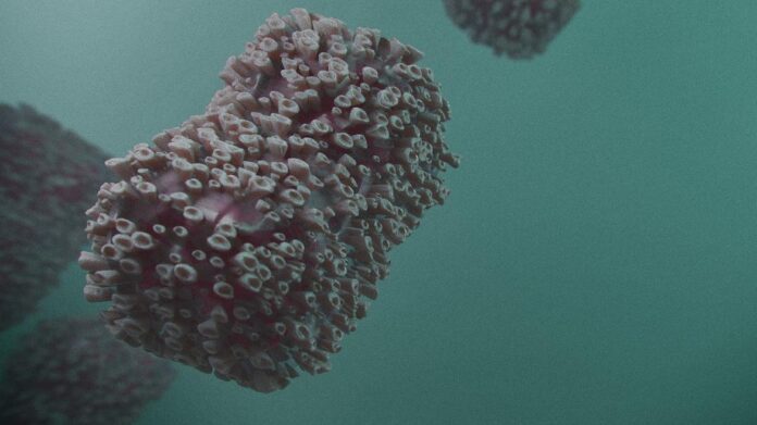 Imagen del virus
