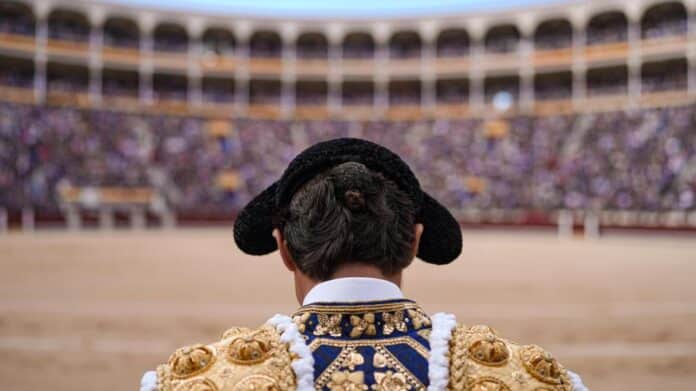 Torero en la plaza