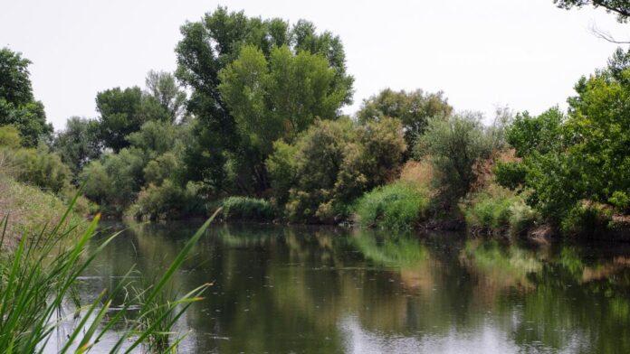 Una zona del Parque Regional del Sureste