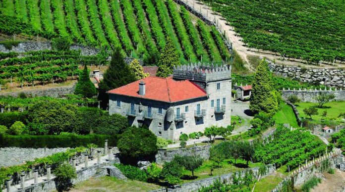 Los vinos Señor da Folla Verde y Torre la Moreira, referentes para 2018 según los expertos 1