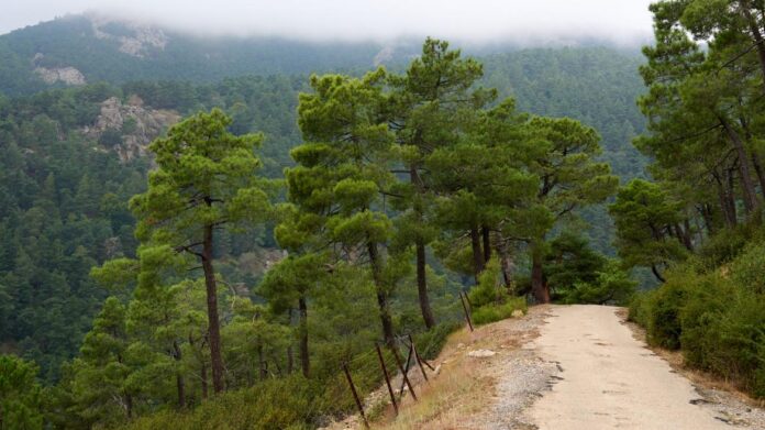 Monte Abantos