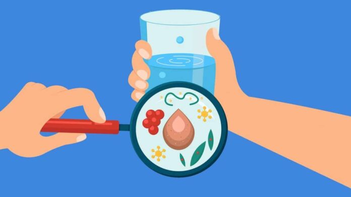 La resistencia a los antimicrobianos sigue siendo un importante problema de salud pública en todo el mundo.