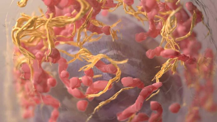 Células cancerígenas