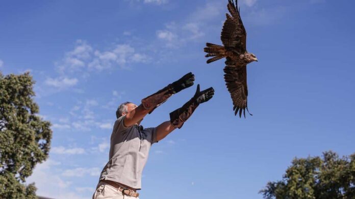 El consejero de Medio Ambiente, Carlos Novillo, visita en Tres Cantos este hospital público dedicado a fauna