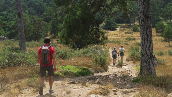 Rutas verdes de la Comunidad de Madrid