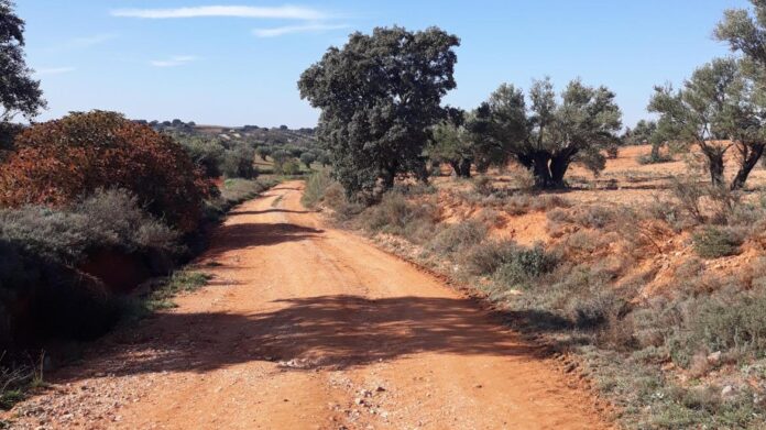 Camino rural de brea_de_tajo_antes