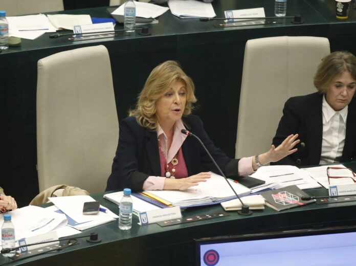 Hidalgo, en un momento de su intervención en el Pleno