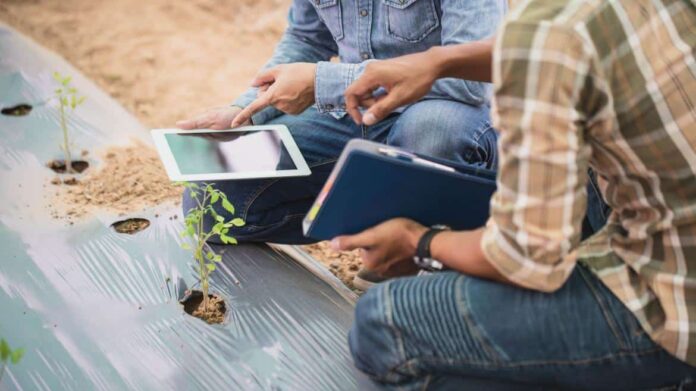 Díaz Ayuso anuncia un nuevo programa de formación digital para profesionales del sector turístico