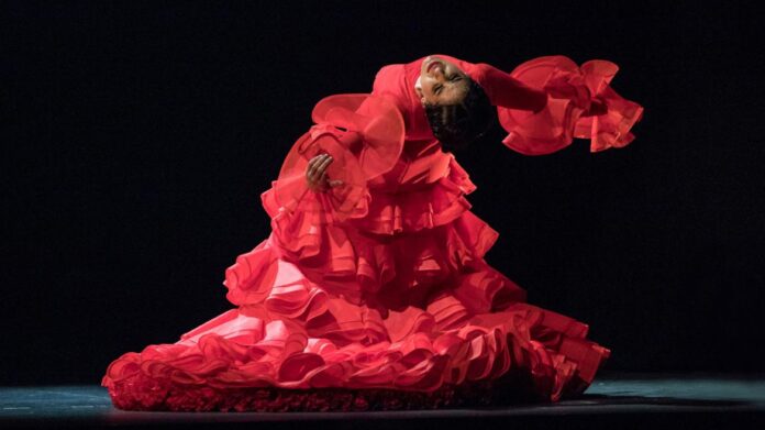 Festival Suma Flamenca 