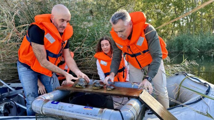 El consejero Carlos Novillo durante su visita a la laguna de El Campillo