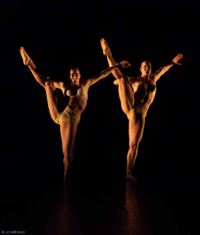 Tender Skin, de Albert Garrell. Companía LAB3