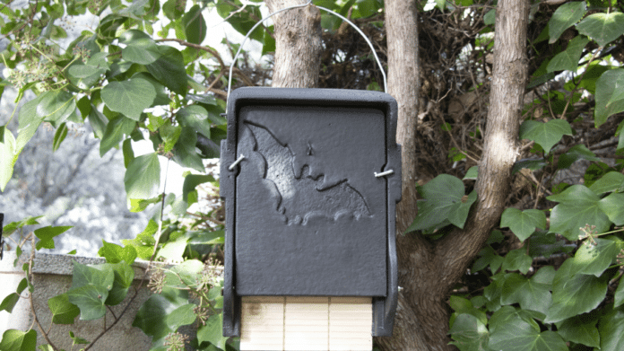 Ejemplar de caja refugio para murciélagos