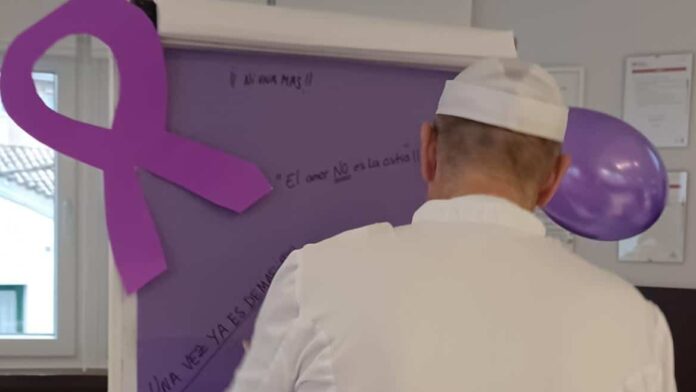 Profesional actividades Día Internacional Violencia contra la Mujer