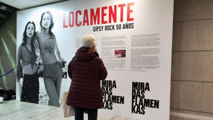 Imagen del Día del Flamenco en el Centro Cultural Pilar Miró
