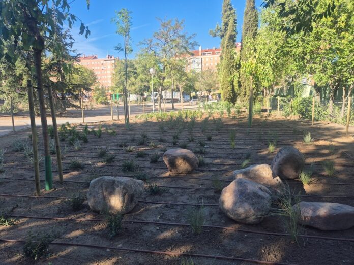 Obra de la zona verde entre el Polideportivo María de Villota y el Colegio El Greco