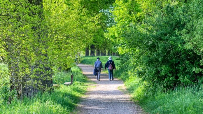 Personas mayores caminando en bosque