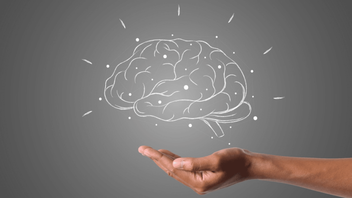 Imagen icónica de un cerebro sobre fondo gris