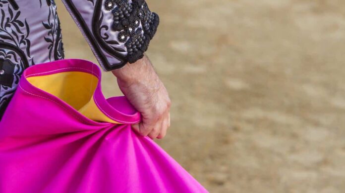 torero en plaza de toros