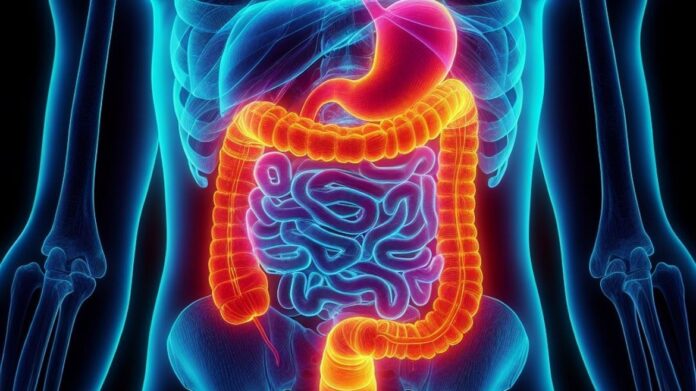 La disección endoscópica submucosa es clave para el tratamiento del cáncer digestivo precoz 