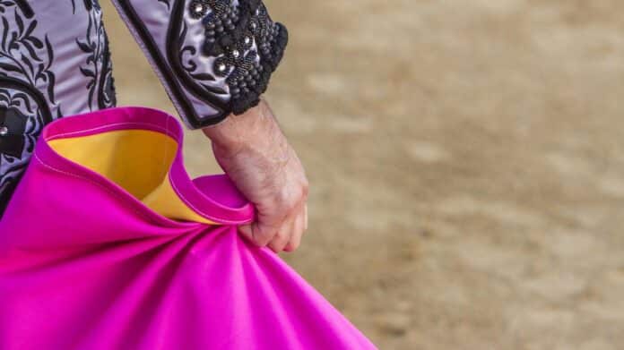 torero en plaza de toros