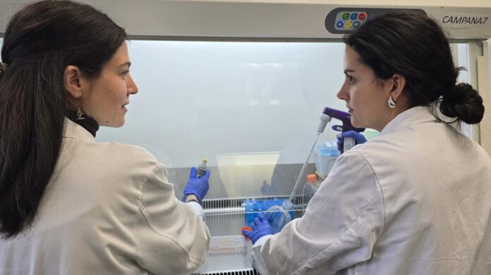 Dos profesionales con bata blanca trabajando en una camapana de laboratorio