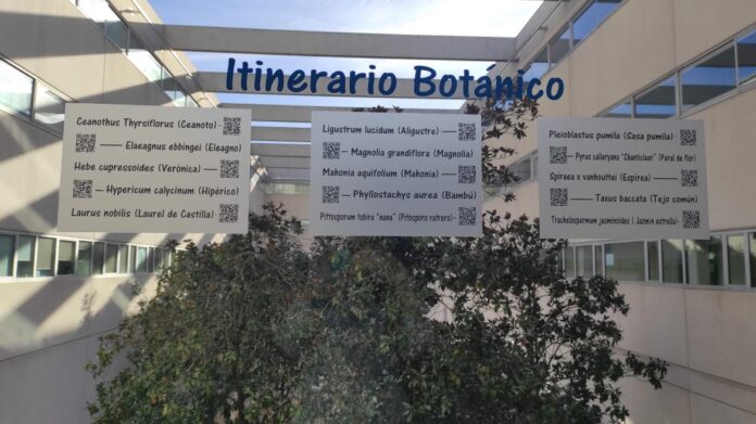 Cristalera muestra vegetación dentro de un hospital