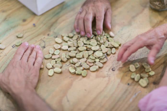 Matadero Madrid celebrará la primera edición del festival Biophest con actividades para estrechar vínculos con la naturaleza 1
