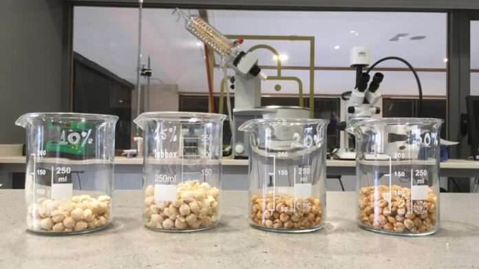 botes de cristal con garbanzos en laboratorio
