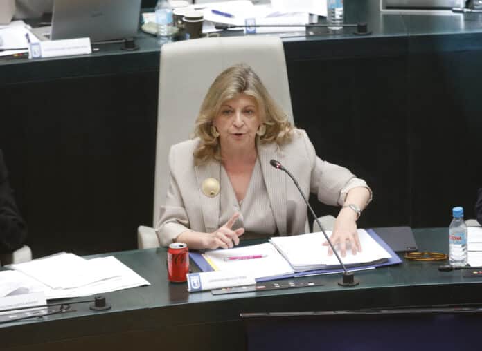 La delegada de Economía, Innovación y Hacienda, Engracia Hidalgo, durante el Pleno de hoy