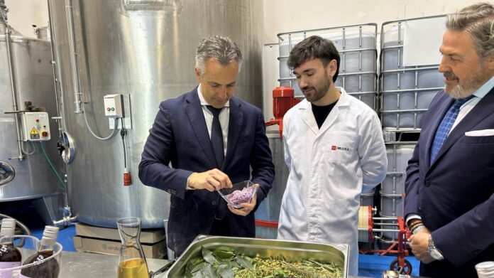 El consejero Carlos Novillo durante la presentación del nuevo Vermú Ahumado de Violetas de Madrid