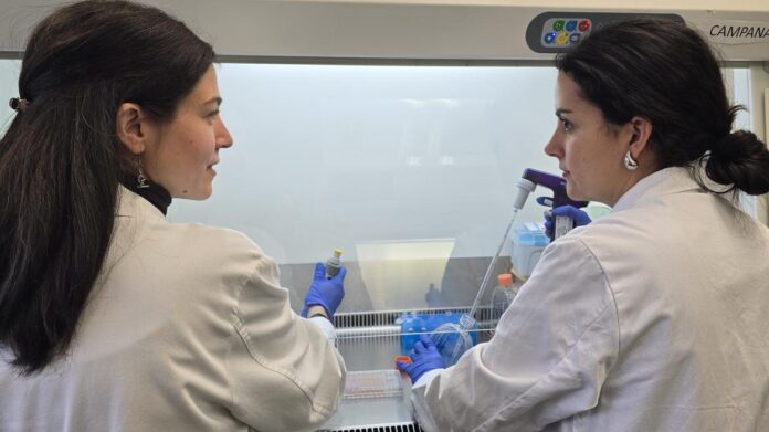 Dos profesionales con bata blanca trabajando en una camapana de laboratorio