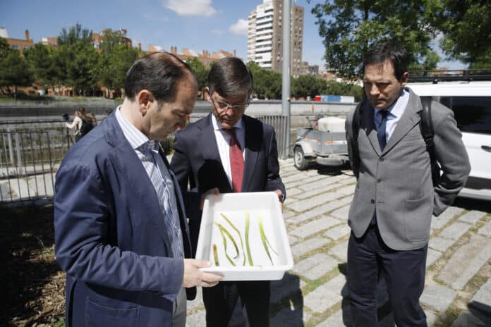 Carabante y Páramo durante la supervisión de los trabajos