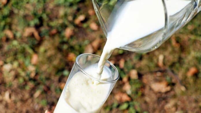 Se está rellenando un vaso de leche desde una jarra