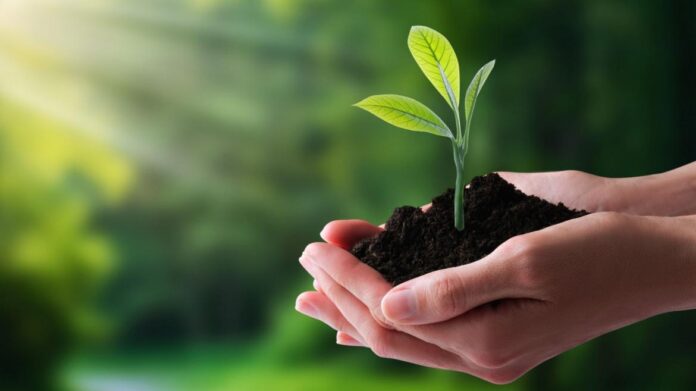 Ecología, protección del medio ambiente natural, concepto del Día de la Tierra.