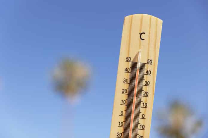 Gestión de Temperaturas Extremas: Guía Esencial para la Seguridad Laboral
