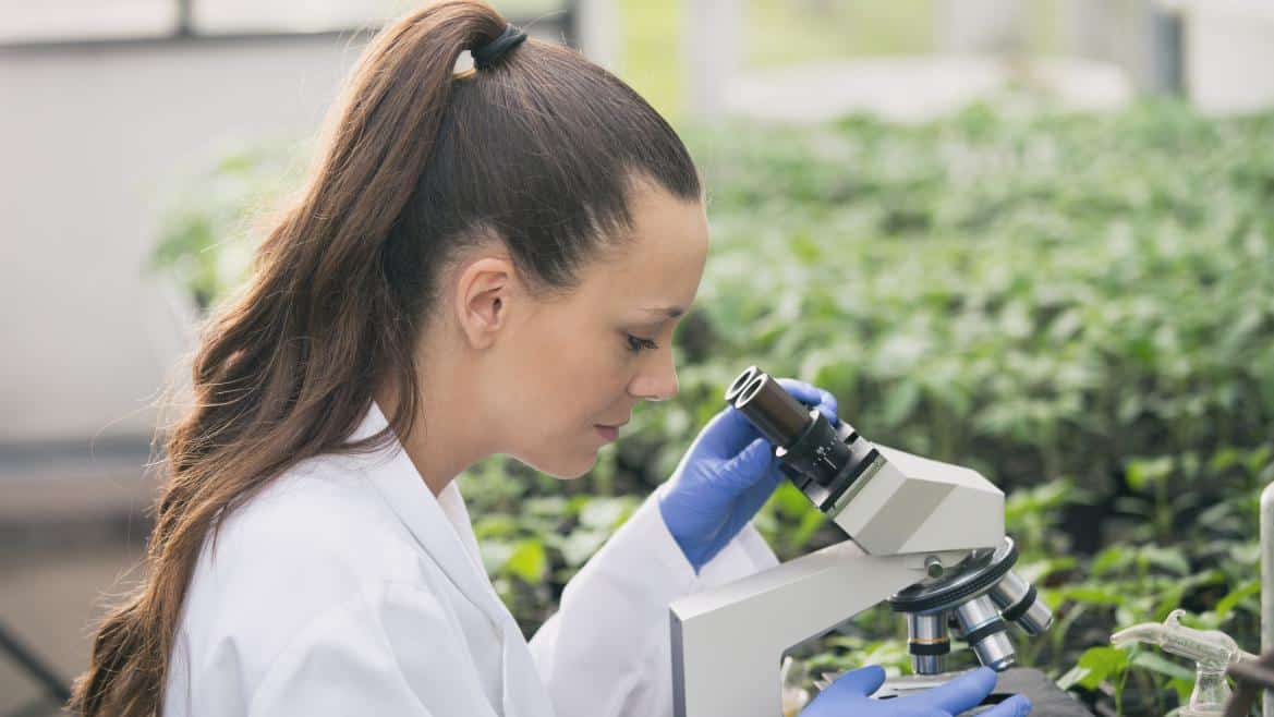 Investigadora con microscopio y plantas