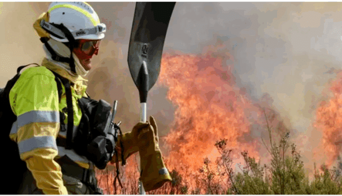 Imagen de Incendios forestales: Terrorismo de Estado y falta de gestión: Comunicado de la Coordinadora Estatal de Bomberxs Forestales de la CGT