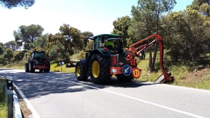 Desbroce de una carretera