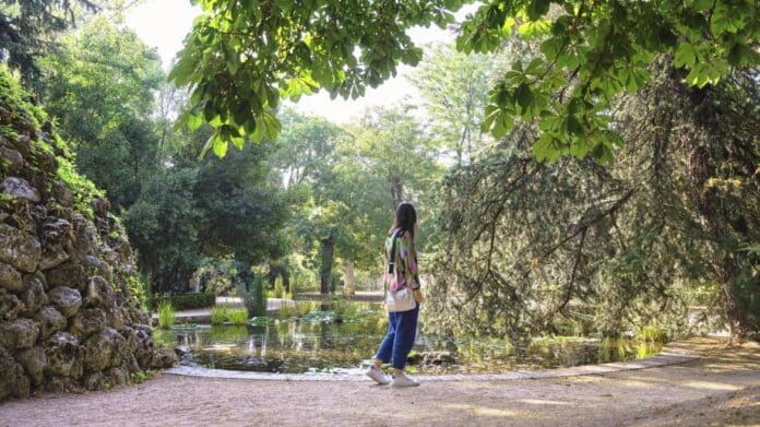 paseos guiados por Carabanchel