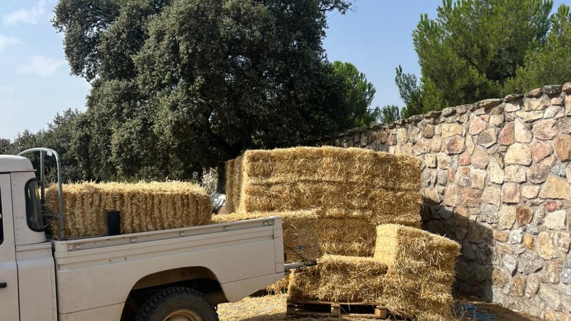 Madrid Auxilia a la Fauna Local con 600 Kg de Alimentos tras Incendio en Tres Cantos