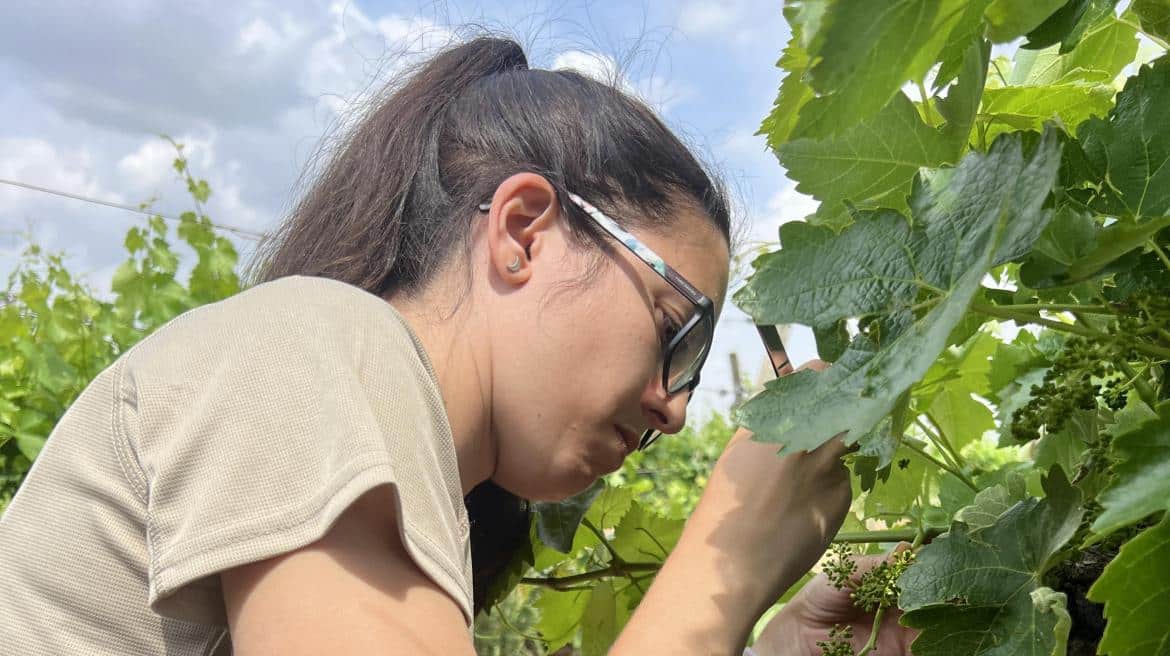 Madrid impulsa 36 cursos gratuitos en formación agropecuaria, agroalimentaria y forestal