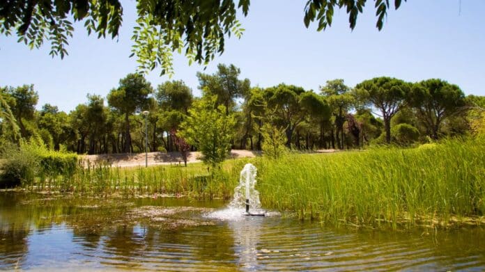 Parque regado con agua regenerada