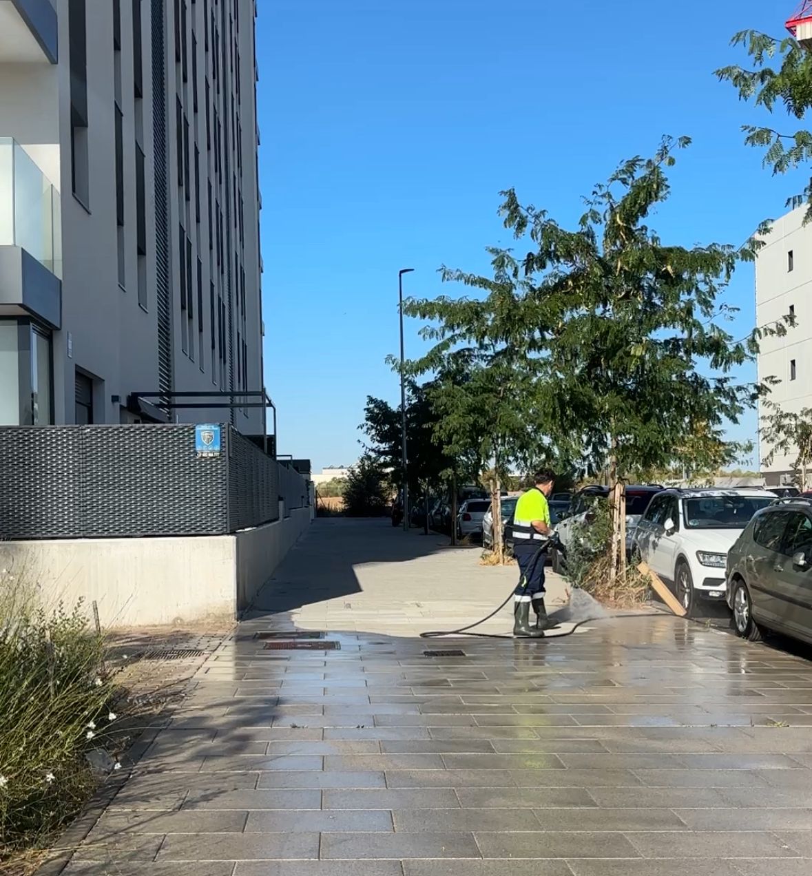Operativo de Limpieza en Barrios: El Olivar y Las Sedas Reciben Atenciones Intensivas Hoy