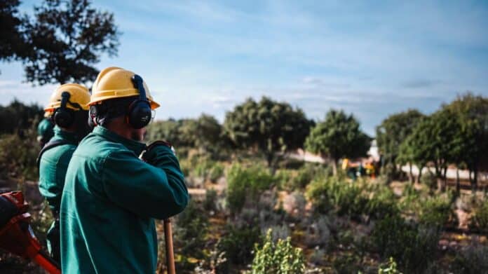 Díaz Ayuso el plan de conservación de bosques Madrid Forestal que ayudará a prevenir incendios