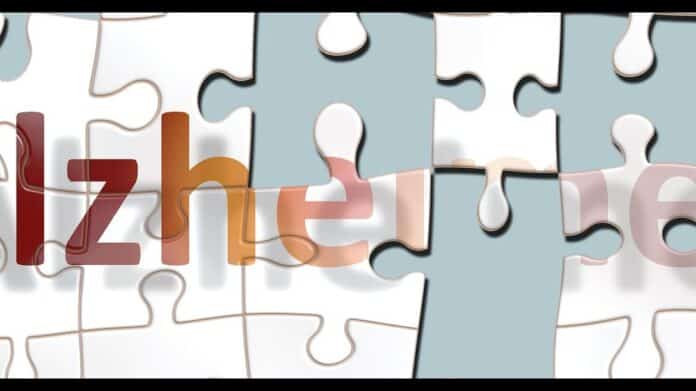 Piezas de un puzzle