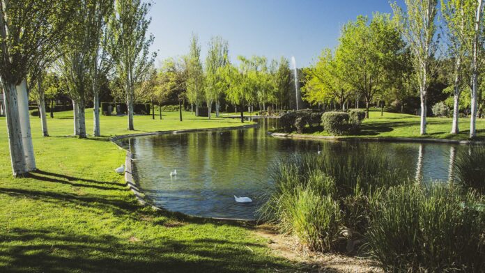 Alcalá Celebra el Día de Todos los Santos con Tradiciones